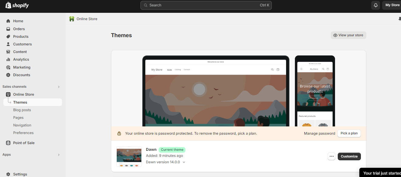 theme